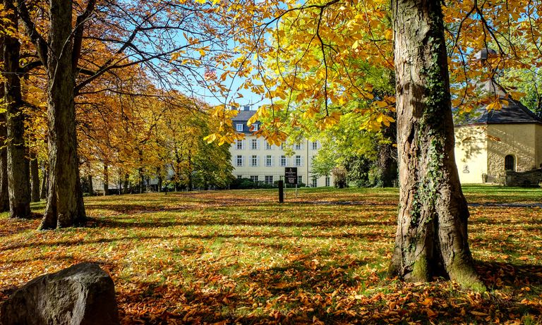 UI Design Petersberg – Overview Park